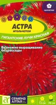 00043370_Астра Гигантские лучи Красная 0,2г (Сем Алт)
