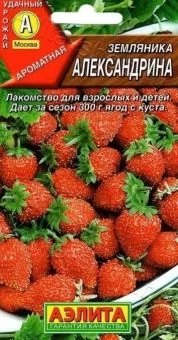 00022014_Земляника Александрина серия Лидер  (Аэли