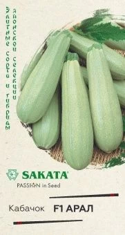 00018376_Кабачок Арал 5шт Голландия (Гавриш)