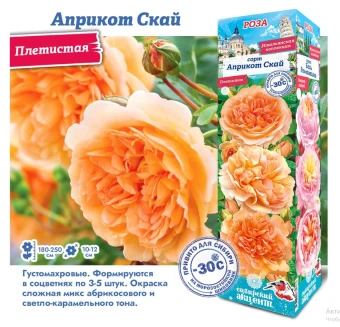 Снимок экрана 2025-10-09 105054