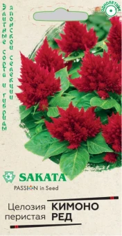 00020303_Целозия Кимоно Ред перистая (Гавриш)