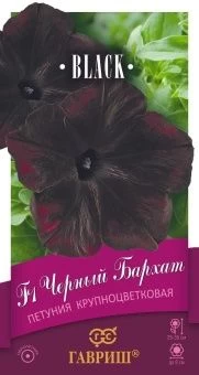 00015254_Петуния Черный Бархат серия Блэк (Гавриш)