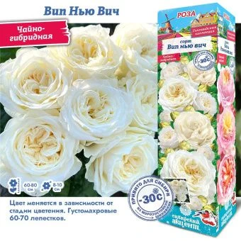 tpc6bypjyal4sdreq24kwb8o3x2c01jw