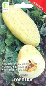00040999_Дыня Торпеда 15шт (ПОИСК) (2)