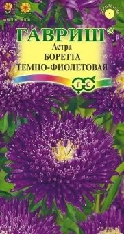 00011572_Астра Боретта темно-фиолетовая (Гавриш) 1