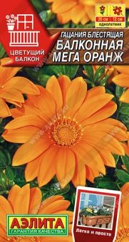 Снимок экрана 2025-08-01 111852