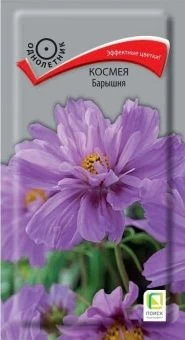 00039923_Космея Барышня  0,1гр (ПОИСК)