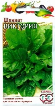 00029097_Шпинат Виктория (Гавриш) МЕТАЛЛ
