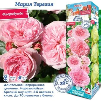 ttvgzvs4t88pt8lo4y6czkr5z499il59