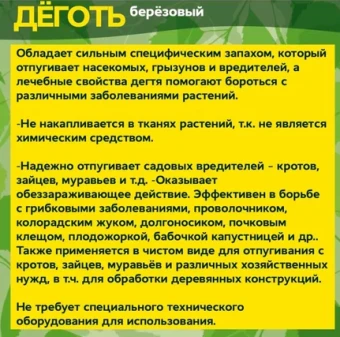 Деготь березовый 100мл 130 — копия