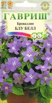 00007746_Броваллия Блу Белл (Гавриш)
