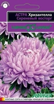 00036460_Астра Хризантелла Сиреневый восторг 0,05г