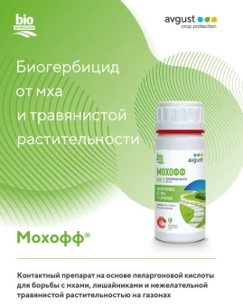 Снимок