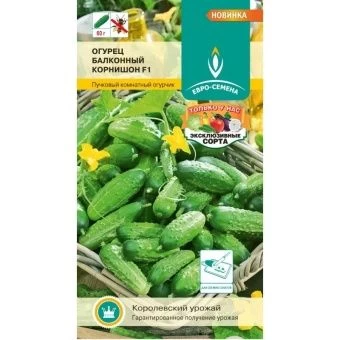 ogurecbalkonniikornish-800x800