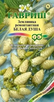 00009168_Земляника Белая Душа (Гавриш) 1_1000