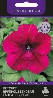 00027760_Петуния Танго бордовая крупноцветковая 15