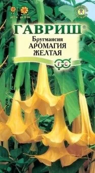 00013900_Бругмансия Аромагия желтая (Гавриш) 1_800