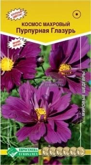 00041656_Космос Пурпурная глазурь махровый 0,1г (Е
