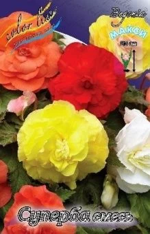 00042331_Бегония суперба Смесь 5шт (КолорЛайн)