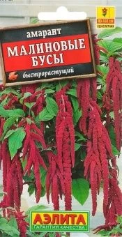 00015344_Амарант Малиновые бусы (Аэлита)