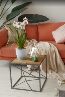 прозрачный