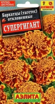 00010823_Бархатцы Супергигант отклоненные (Аэлита)