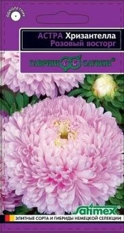 00033957_Астра Хризантелла Розовый восторг 30шт (Г