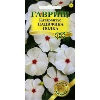 Каатарнтус пацифика палка (Г).jpg