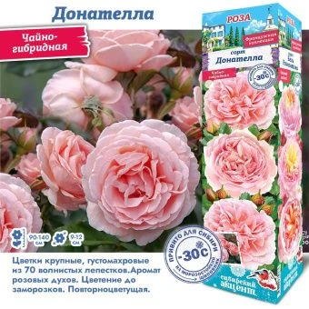 egeh8rp2u26mhcle3gxs36eu4ithd637