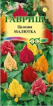 00009543_Целозия Малютка смесь перистая (Гавриш) 1