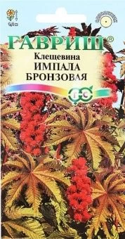 00008331_Клещевина Импала бронзовая (Гавриш) 1800