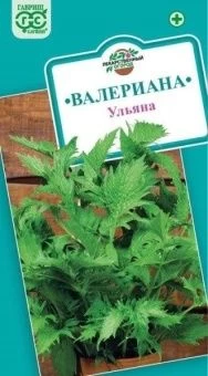 00008213_Валериана Ульяна (Гавриш) 1_1000