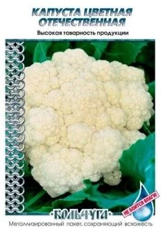 00003809 _Капуста цветная Отечественная серия Коль