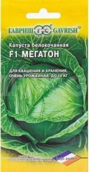 00009334_ Капуста бк Мегатон Голландия (Гавриш)  