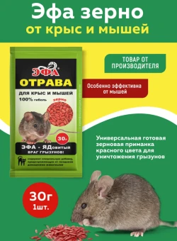 Снимок