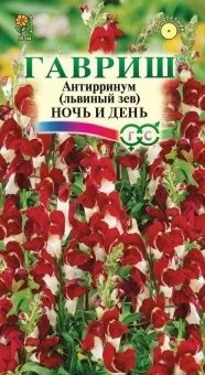 00025969_Львиный зев Ночь и день 0,1 г (Гавриш)