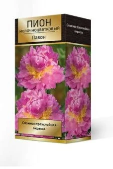 pion_moloch_lavon_3D