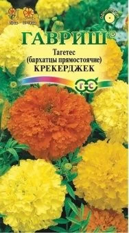 00007848_Бархатцы Крекерджек прямостоячие (Гавриш)