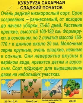 Кукуруза Сладкий початок (Аэлита)