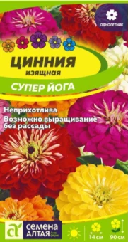 Снимок экрана 2026-01-15 172207