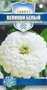 00025980_Цинния Великан белый 0,3 г серия Русский 