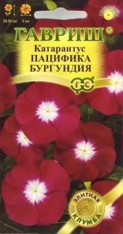 00008330_Катарантус Пацифика Бургундия (Гавриш) 11