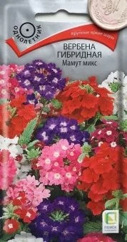 00035836_Вербена Мамут микс гибридная 0,2г (ПОИСК)