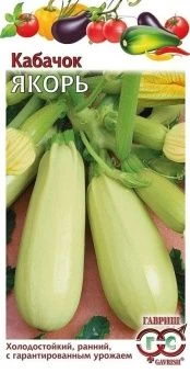 00009178_Кабачок Якорь (Гавриш)