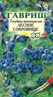 00012747_Голубика Лесное Сокровище (Гавриш) 1_1000
