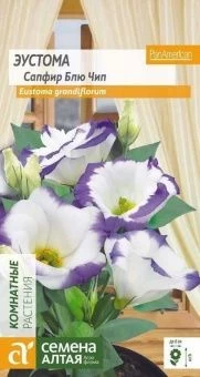 00023976_Эустома Сапфир Блю Чип 5шт (Сем Алт)