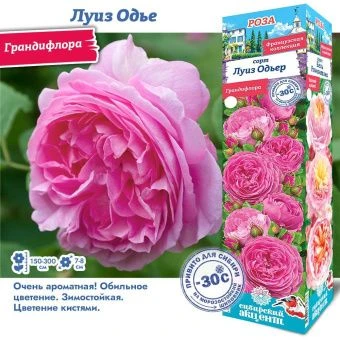 bb68u9ucjfzgefn105qjk0x1hn1ufahe