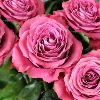 jma8bz3ujgruqji5eyrbtxmskbad66d2