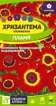 ЦБ-00000703_Хризантема Пламя килеватая 0,1г (Сем Алт)