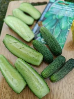Огурец Сибирская Гирлянда (УД)